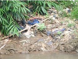 Olik Berharap Warga Depok Peduli Lingkungan